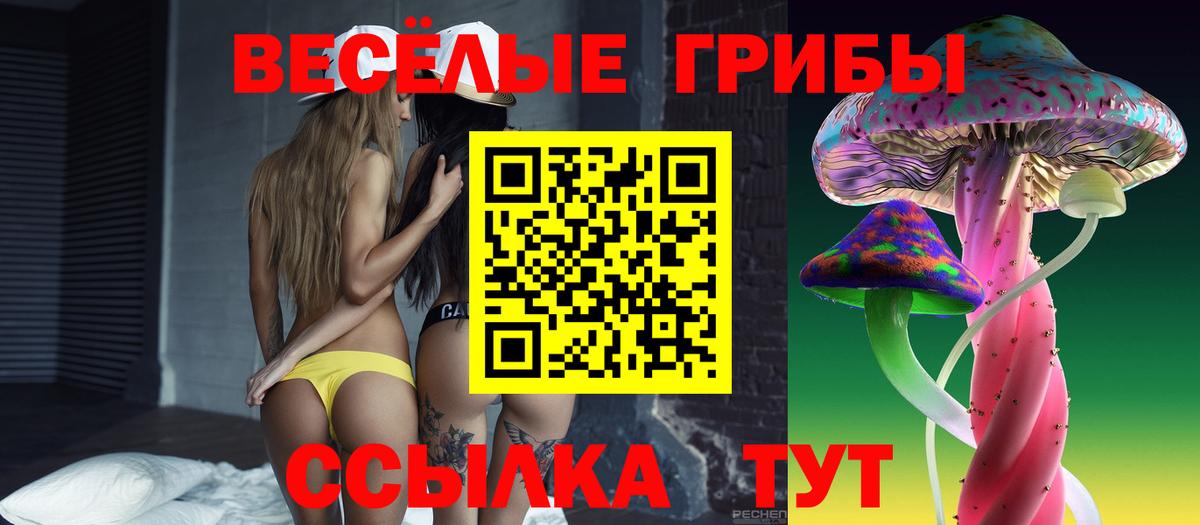 Псилоцибиновые грибы Cubensis  Вход с VPN  Псилоцибиновые грибы Psilocybine cubensis  Артёмовский 